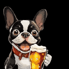 Active!A Boston Terrier for Everyday Use