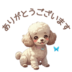 Cute Toy Poodle Stickers77