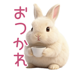 Round Bunny All Year Round