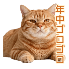 Lazy Orange Tabby Cat