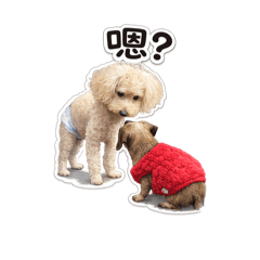 小乖記