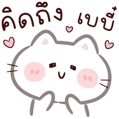 แมว ลิตเติ้ล : น่ารัก