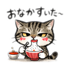 yorino_20260225113125