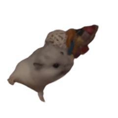 pique_20260222185314