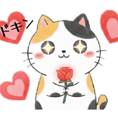 Motiko_20260225071422