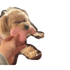 SUNAGIMO_20260222203508