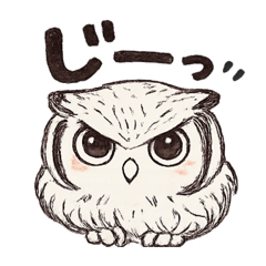 mofumaruOwlchan