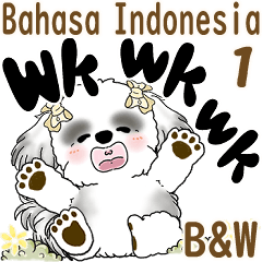 Everyday Black & White Shih Tzu 1