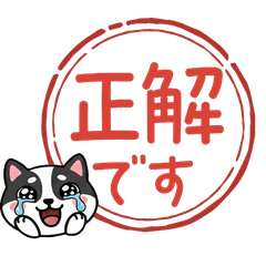 Seal Mini Bull Terrier  85