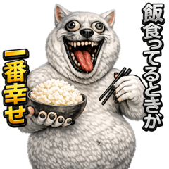 Alcoholism fat real funny cat