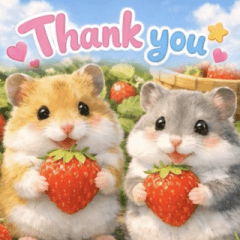 POPUP spring hamster