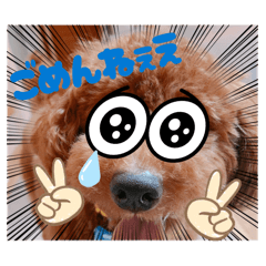 Kana_20260225212722