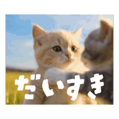 【動く】猫の日常使いスタンプ
