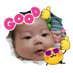 westan_20260225203131