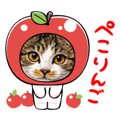 hirunekonomori_20260225202212