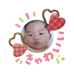 kinari_20260225203417