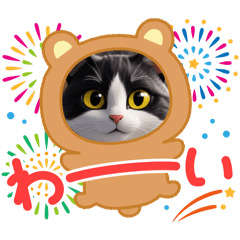 archkun_20260225121302