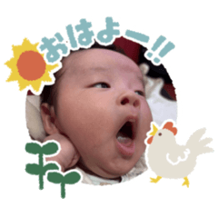 aamkk_20260225122333