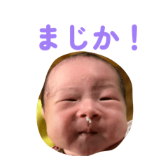 yukichi_20260225122835