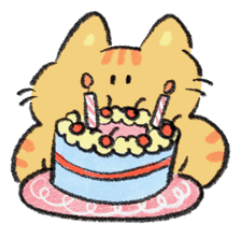 ส้มส้ม แมวส้มประจำวัน