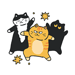 Daily Life of Trio Cats