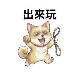 呆萌柴犬日常與找路中