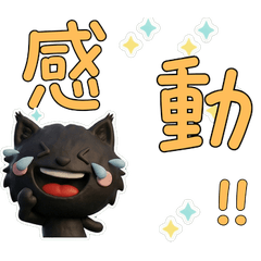 Taiwanese Black Norwegian Forest 39