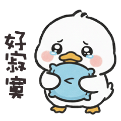 ( °⊖ ° ) 小白鴨好寂寞
