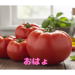 pinklovemomo_20260223005110