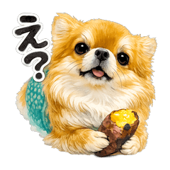 Fluffy Chihuahua Daily Stickers Vol.2