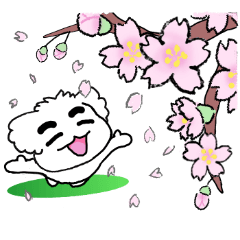 Eyebrow maltese - Spring sticker