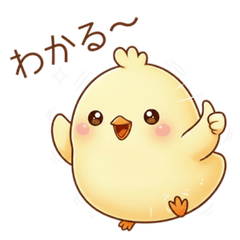 A little chick you can use every day