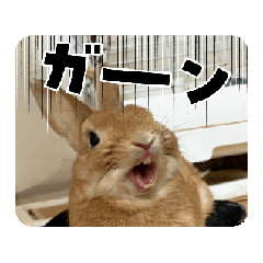 MIYASHITA_20260225215518