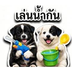 water fastival