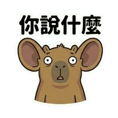 水豚君日常幹話貼圖（上班族必備）