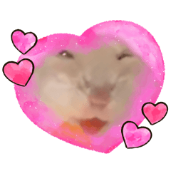 Meisa_20260225152431