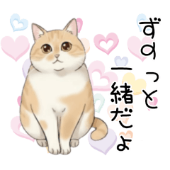 kazue_20260225152021