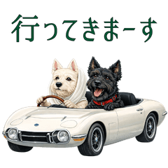 Scotties Around the World