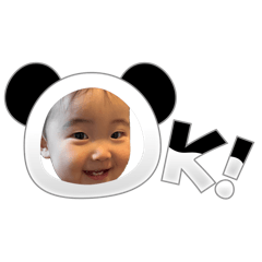 rrrrrrr_20260225153044