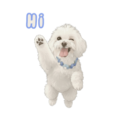 馬爾濟斯-幸福三寶