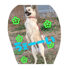 TOMOMI_20260226004318