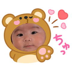 Hippo_20260226085244