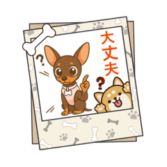 Kahori_20260226093444
