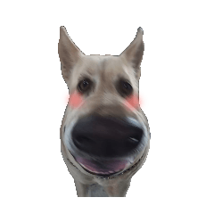 porjai_20260225205845