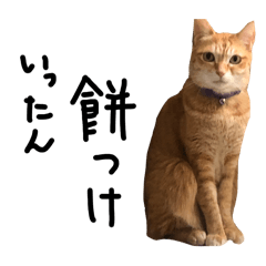 kawauso_20260225170958