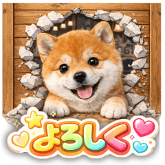 壁から飛び出す⭐かわいい犬たち❤柴犬❤毎日