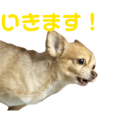 k_20260226120431