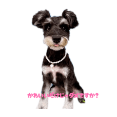 Hanana_20260225145937