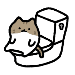 move cute white tabby