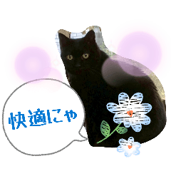 Mi-chan with beautiful eyes